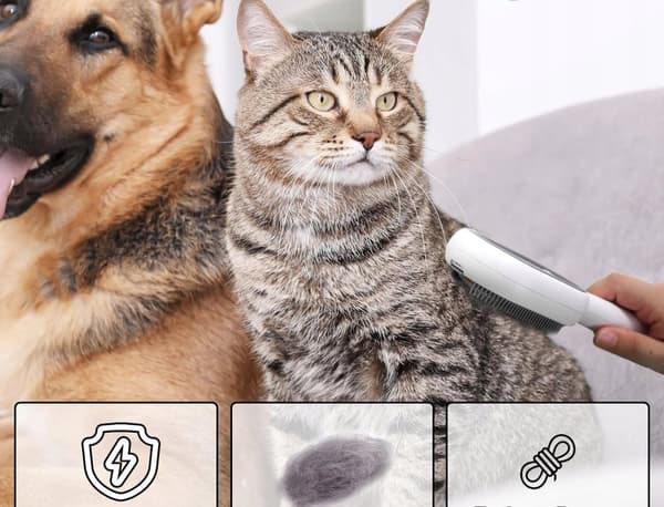 DJURBORSTE för HÅR, LUD, VATTENUTRUMNINGSMASSAGEAPPARAT FÖR HUNDAR OCH KATTER