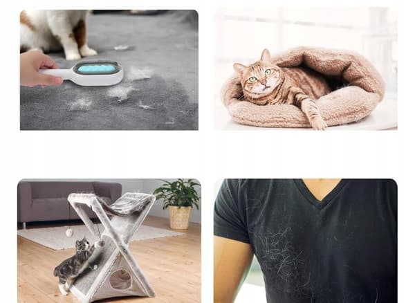DJURBORSTE för HÅR, LUD, VATTENUTRUMNINGSMASSAGEAPPARAT FÖR HUNDAR OCH KATTER