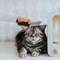 Miniatyrbild 3 av 4: Hundeborste Hunter Extra Soft