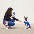 Miniatyrbild 4 av 8: T-shirt för hundar The Avengers - XXS