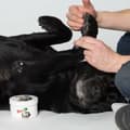 Miniatyrbild 5 av 5: Vax Pawz MAXWAX 60 g