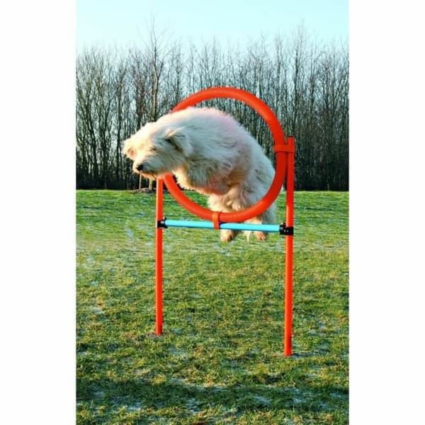 Træningslegetøj Trixie