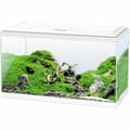 Miniatyrbild 1 av 6: Vattumannen Ciano