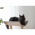 Miniatyrbillede 5 af 6: Kradsetræ til katte Kerbl Taupe Sisal