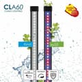 Pikkukuva 3 / 6: Vesimies Ciano