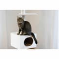 Miniatyrbillede 5 af 6: Kradsetræ til katte Kerbl Hvid Sisal