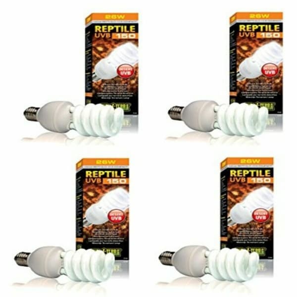 Lampe Exo Terra