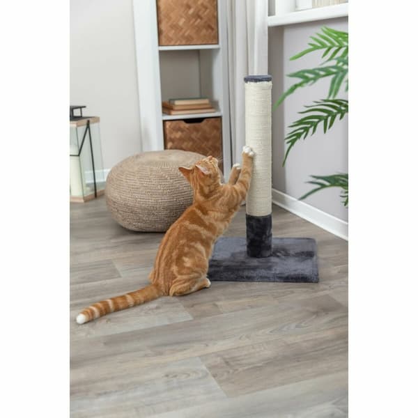 Skrapepost for katter Trixie