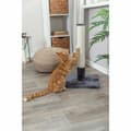 Miniatyrbilde 2 av 6: Skrapepost for katter Trixie