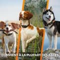 Pikkukuva 6 / 6: Häviötön paikallistin Weenect