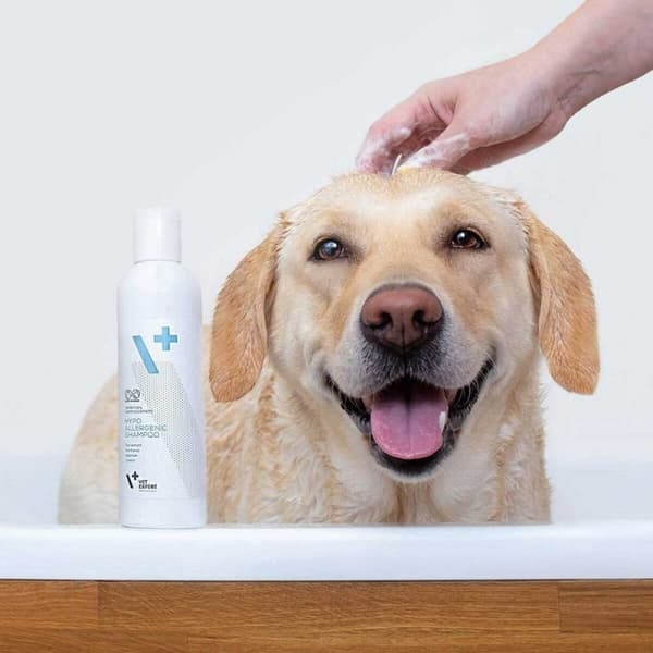 Husdjurschampo VETEXPERT                                 250 ml