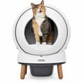 Pikkukuva 5 / 6: Tarjotin PetSafe