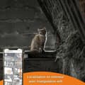 Miniatyrbillede 6 af 6: Antitabs-lokalisator Weenect Weenect XS GPS Kat Hvid
