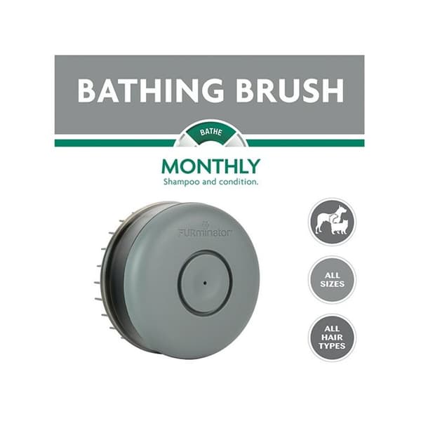 Børste Furminator Bathing Kat Sort