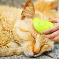 Miniatyrbild 4 av 7: OBOSOE 4-i-1 Ångborste för katt – Massagestråle för husdjur, kam för katt och hund