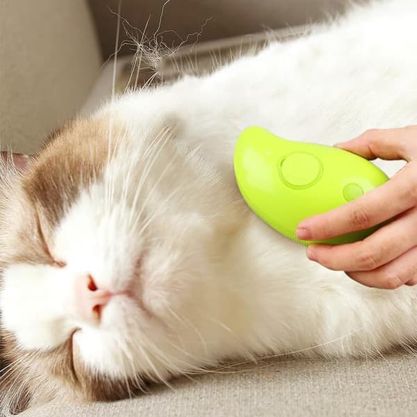 OBOSOE 4-i-1 Ångborste för katt – Massagestråle för husdjur, kam för katt och hund