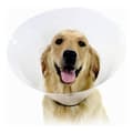 Miniatyrbild 1 av 2: Elizabethan Hundhalsband KVP Check Transparent (38-50 cm)