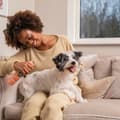 Miniatyrbild 3 av 5: Rengöringsskum Pet Head Quick Fix Hund Persika (200 ml)