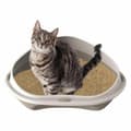 Miniatyrbillede 2 af 3: Kattebakke Georplast GP10536 58 x 48 x 20,5 cm (8 enheder)