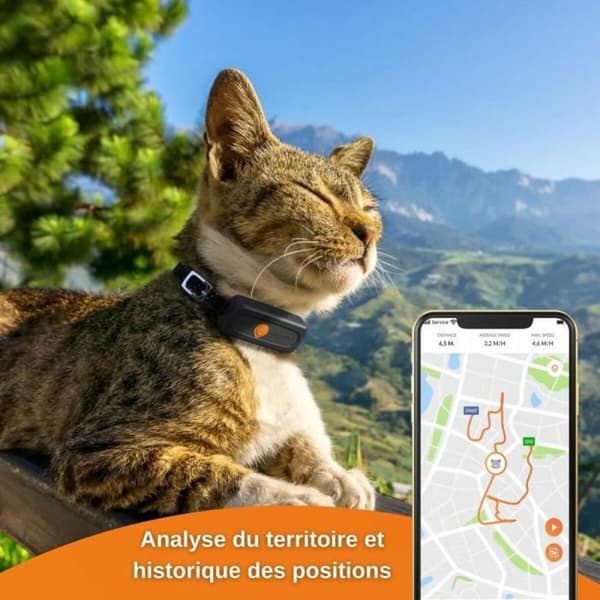 Häviötön paikallistin Weenect Weenect XS GPS Musta