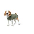 Miniatyrbillede 1 af 5: Sweater til hund Hunter Malmö Grøn