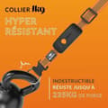 Pikkukuva 2 / 6: Häviötön paikallistin Weenect Orange
