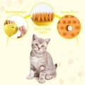Pikkukuva 7 / 7: Lollanda Steamy Cat Brush 4-in-1, Cat Steamy Brush, Steamy Dog Brush – Höyrytoiminto, itsepuhdistuva