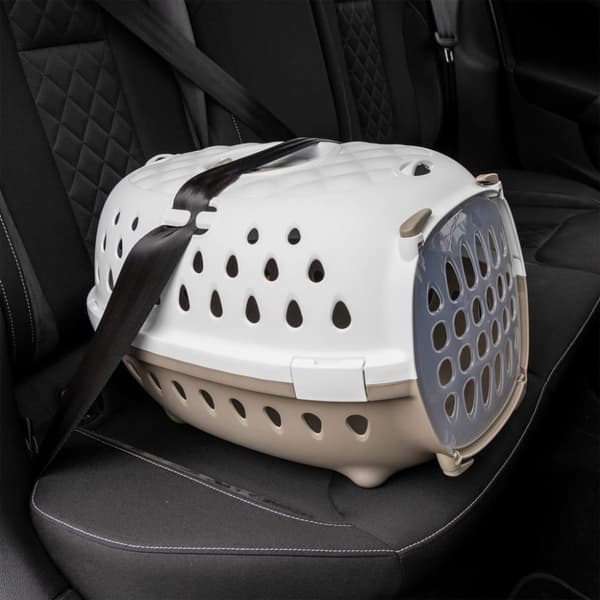 vidaXL Transportbur vit och brun 50x34,5x32 cm PP