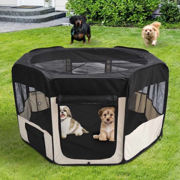 Rootz Puppy Run Outdoor Shelter - Musta, Valkoinen - Kangas, Teräs - 20,08 cm x 25,59 cm x 2,76 cm