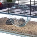 Pikkukuva 4 / 10: Ferplast Hamsterin Häkki Favola Musta