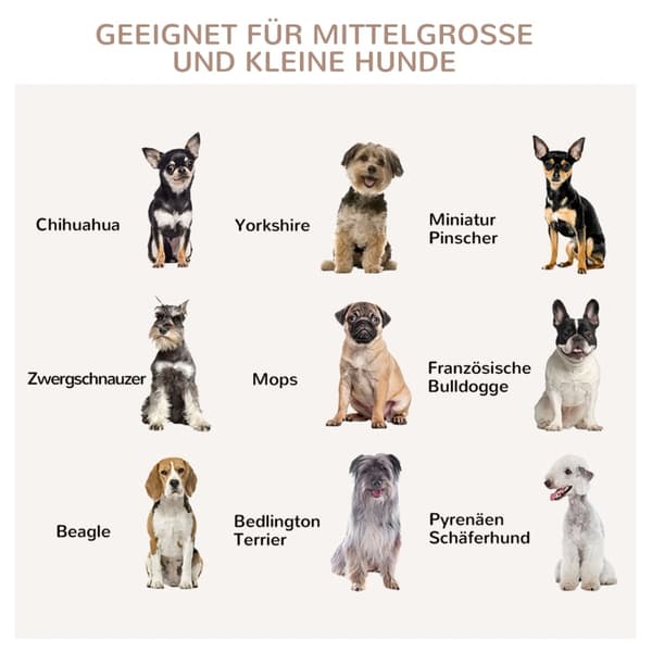 Rootz PawHut 2-dørs hundebur - Hundebur - Pet Kennel - Beskyttet og sikkert tilbagetog - Låsende stålnet - 80 cm x 50 cm x 56,5 cm - Hvid + Sølv