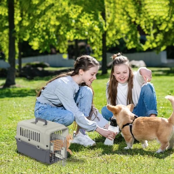 Lufttransportlåda för hundar och katter - XMTECH - 60x39,5x44 cm - Grå