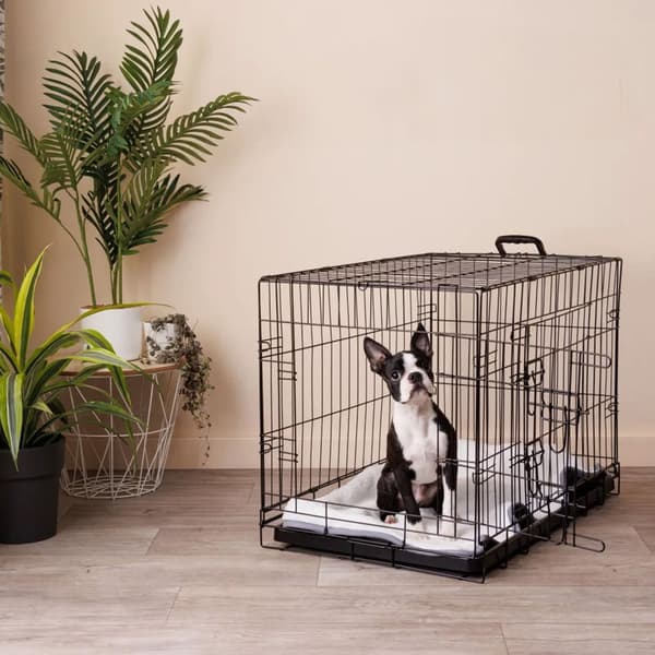 Hundegård P70396A