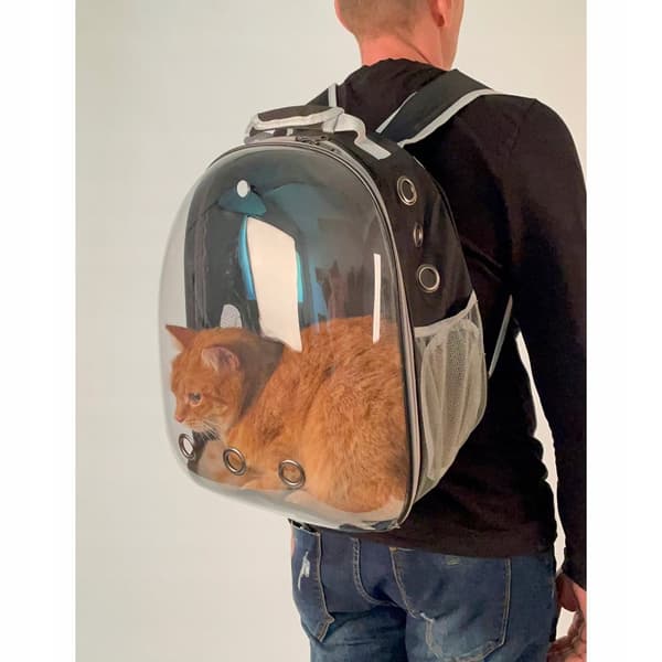 Ryggsäck för katt och hund