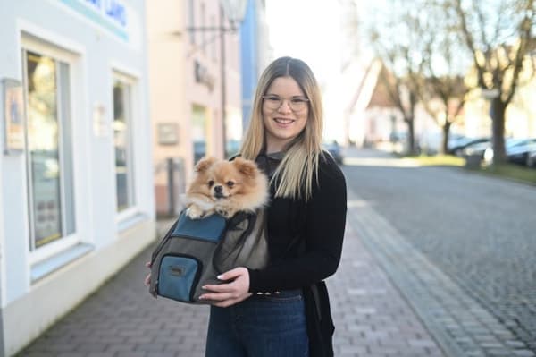 KERBL Vacation resväska gråblå - hund-/kattbärare upp till 8 kg - 31x24x38 cm