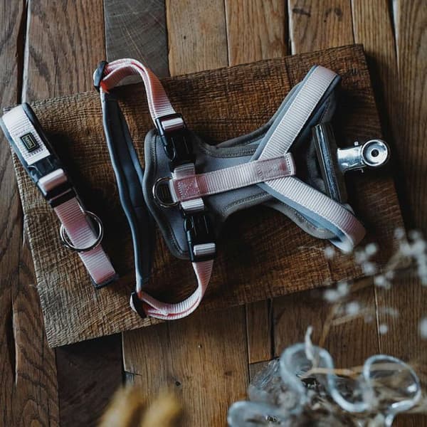 Transportkit - förflyttning - promenad Hunter - 64150 - Vario Plus halsband i neopren, 30-35 cm, 20 mm, Hallon/Svart