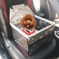 Miniatyrbild 3 av 4: Bärbar bilsätesväska för hundkatt Skyddsväska Säkerhetsbärare Resor Vattentät Andas