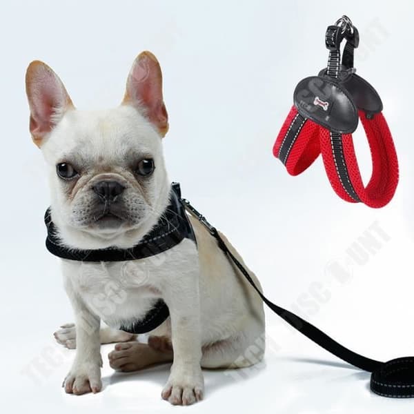 TD® Anti Pull Dog Säkerhetssele med koppel Medium Large Car Running Canicross Väst Bröstband