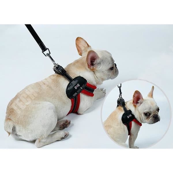 TD® Anti Pull Dog Säkerhetssele med koppel Medium Large Car Running Canicross Väst Bröstband