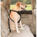 Miniatyrbild 2 av 4: TD® One Trail Two Hundkoppel Liten Medium Hund Dubbelkoppel Pet Walking Hundkoppel