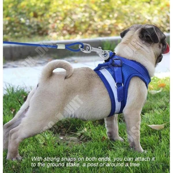 TD® Double Head Husdjurskoppel One Trail Två förlängd järnkedja Trådrep Dog Chain