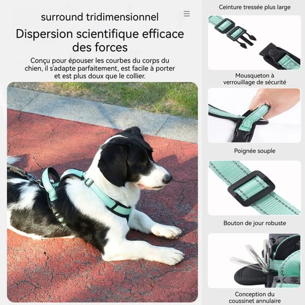 Harnais hund INN® 36-50 cm bröstselar med ledd kod M för hund säkerhetsbälte hundsele anti-drag justerbar storlek