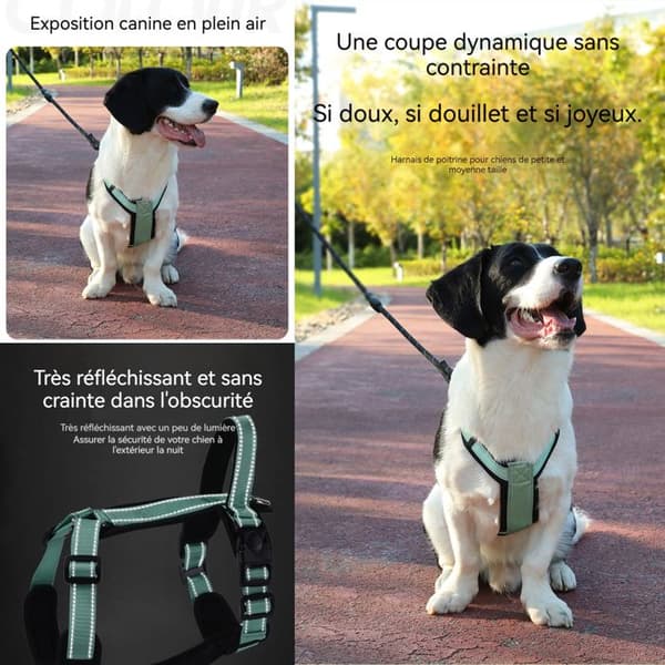 Harnais hund INN® 36-50 cm bröstselar med ledd kod M för hund säkerhetsbälte hundsele anti-drag justerbar storlek