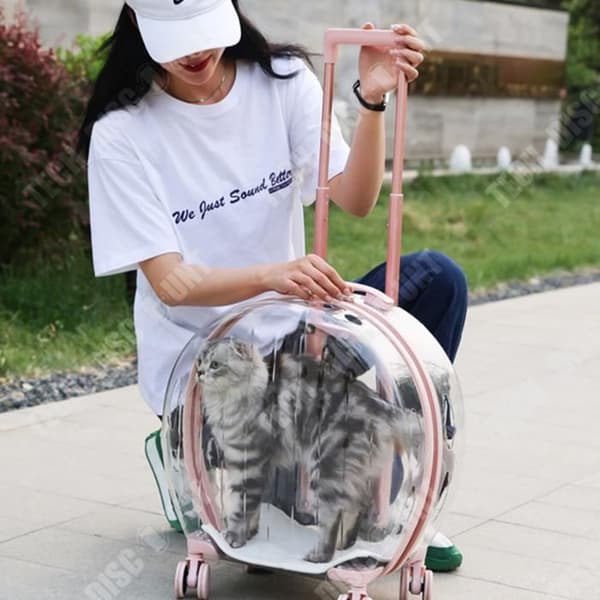 TD® Pet cart-låda genomskinlig kattväska ta ut bärbar mute universalhjul bärbar luftbox