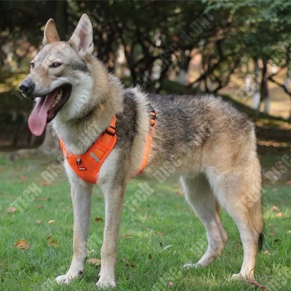 TD® Hundkoppel Bröstsele Oxford-tyg Walking koppel Väst Husdjurstillbehör Metalltillbehör