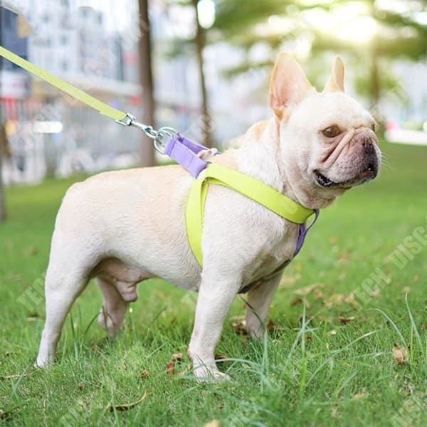 TD® Hundkoppel Bröstband Hundpromenadrep blandad färg Bomullsvävd hundpromenadrep