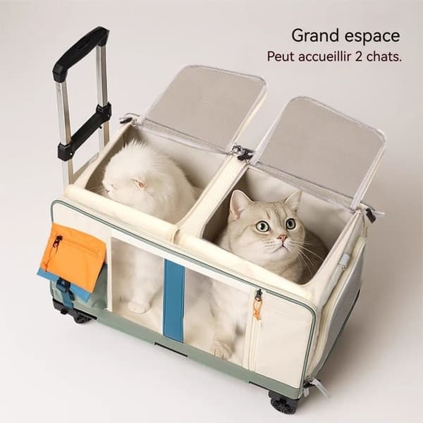 TD® Pet vagn ryggsäck rymden kapsel avtagbar katt och hund multifunktions gå ut transparent väska