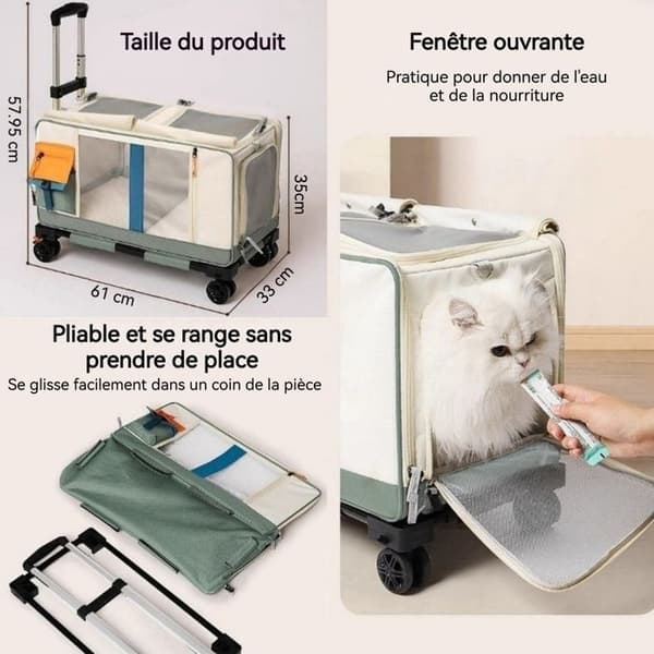 TD® Pet vagn ryggsäck rymden kapsel avtagbar katt och hund multifunktions gå ut transparent väska