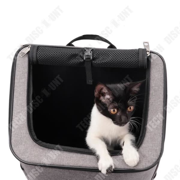 TD® Pet Ryggsäck Andas Oxford Tyg Ryggsäck Bärväska Djurtillbehör