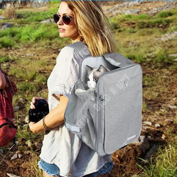 TD® Pet Ryggsäck Dubbel användning Plysch Cat Infällbar Rullfönster Design